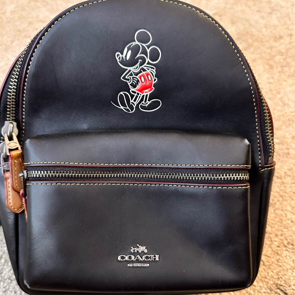 Coach / X Disney